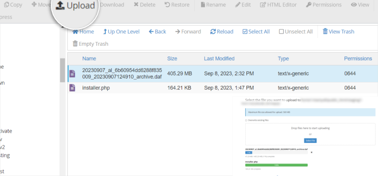 duplicator staging upload files subdomain