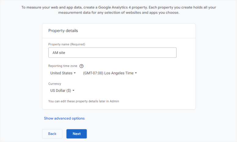 google analytics wordpress property details