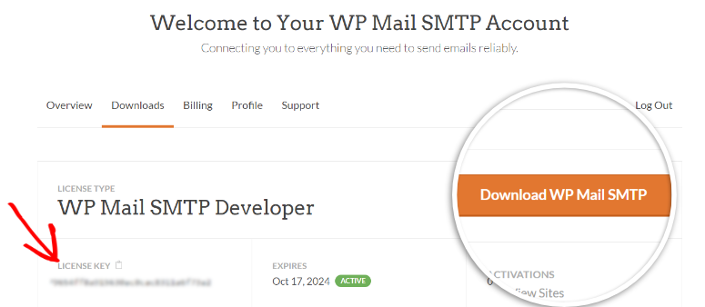 wp mail smtp dashboard