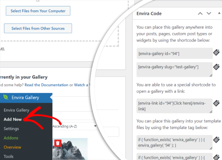 Envira Gallery Review: The Best WordPress Gallery Plugin in 2025