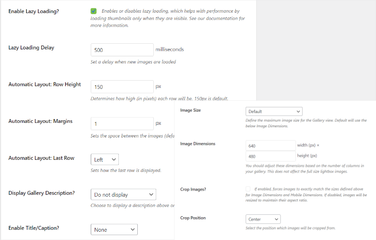 envira-gallery-customization-more-options - IsItWP - Free WordPress Theme Detector envira gallery customization more options