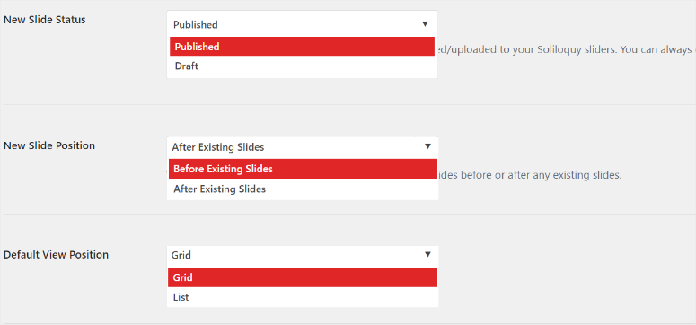 soliloquy customizations in settings