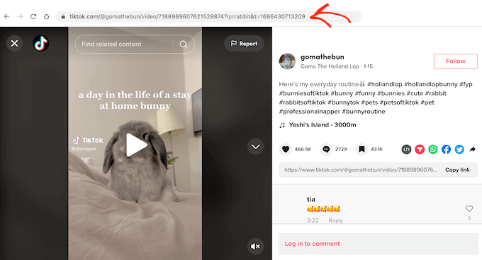 add-tiktok-video-manually-copy-video-url - IsItWP - Free WordPress Theme Detector add tiktok video manually copy video url