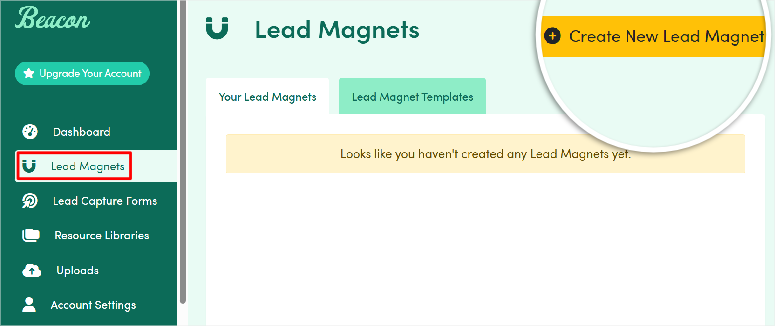 beacon-create-lead-magnet - IsItWP - Free WordPress Theme Detector beacon create lead magnet