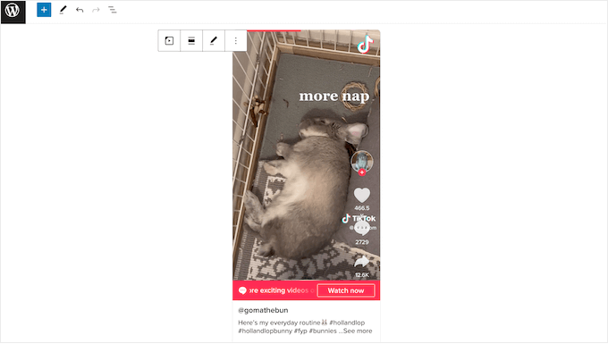 manual-embedded-tiktok-video - IsItWP - Free WordPress Theme Detector manual embedded tiktok video