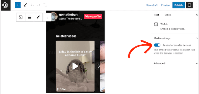 manual-tiktok-resize-video - IsItWP - Free WordPress Theme Detector manual tiktok resize video