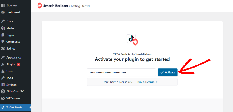 smash-balloon-activate-tiktok - IsItWP - Free WordPress Theme Detector smash balloon activate tiktok