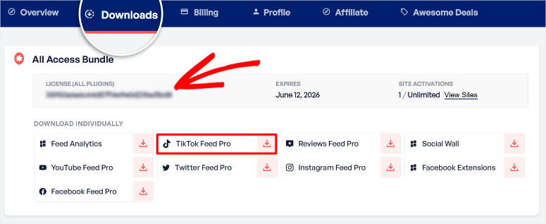 smash-balloon-download-tiktok-pro - IsItWP - Free WordPress Theme Detector smash balloon download tiktok pro
