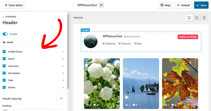 smash-balloon-edit-tiktok-header - IsItWP - Free WordPress Theme Detector smash balloon edit tiktok header