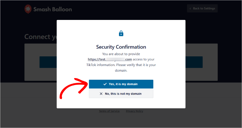 smash-balloon-security-confirmation - IsItWP - Free WordPress Theme Detector smash balloon security confirmation