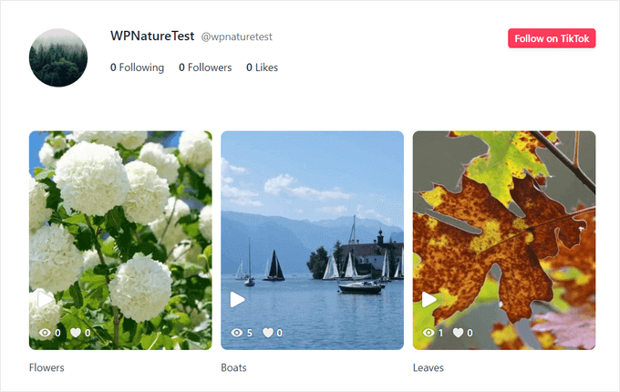 smash-balloon-tiktok-feed-example - IsItWP - Free WordPress Theme Detector smash balloon tiktok feed example