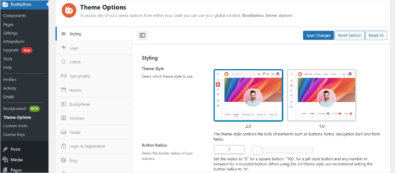 buddyboss-theme-options - IsItWP - Free WordPress Theme Detector buddyboss theme options