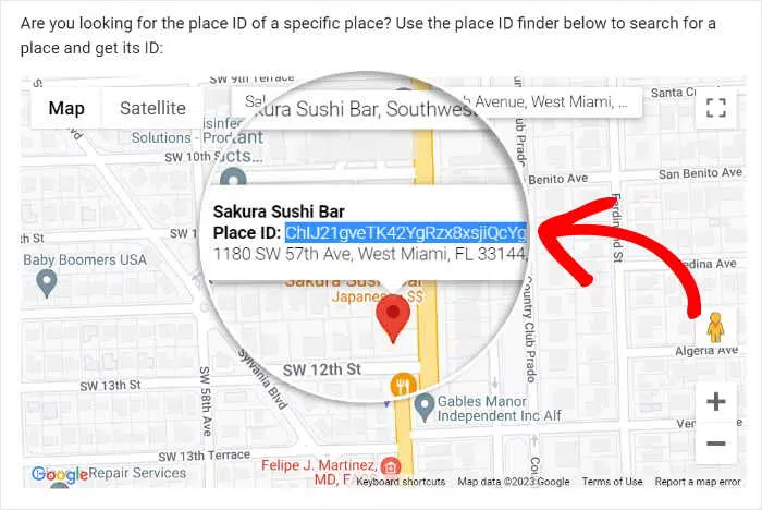 copy your place id google