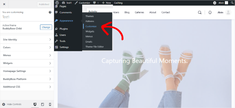 default-wordpress-customizer - IsItWP - Free WordPress Theme Detector default wordpress customizer