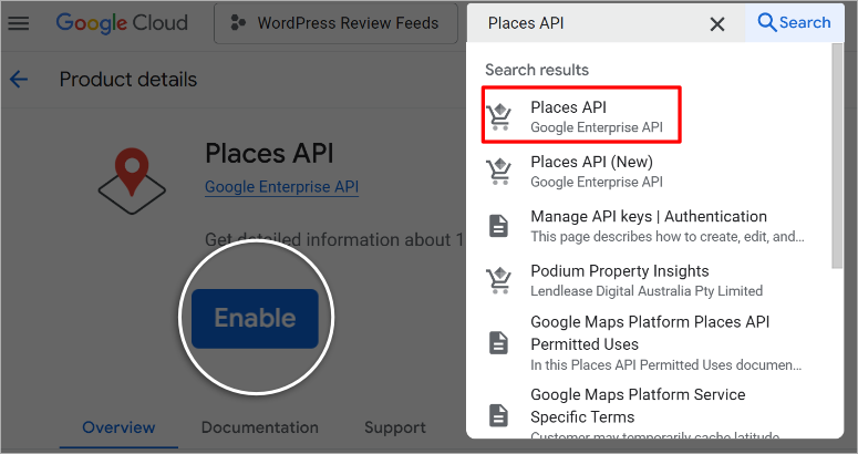 google cloud console place api enable