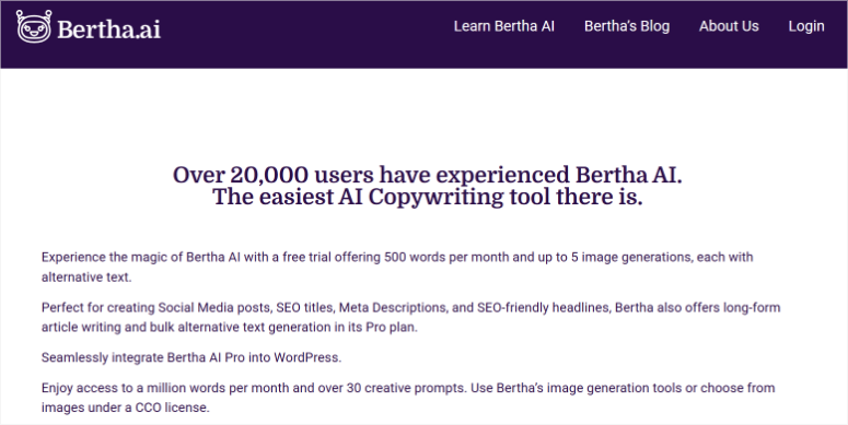 bertha ai homepage