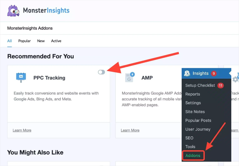 monsterinsights ppc tracking addon