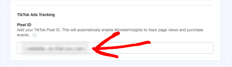 monsterinsights tiktok ads tracking pixel