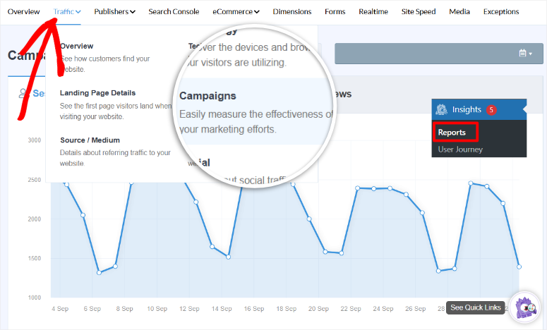 monsterinsights traffic campaigns