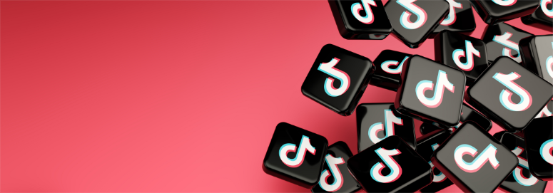tiktok wordpress