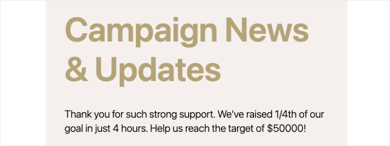 charitable-impact-updates-example - IsItWP - Free WordPress Theme Detector charitable impact updates example