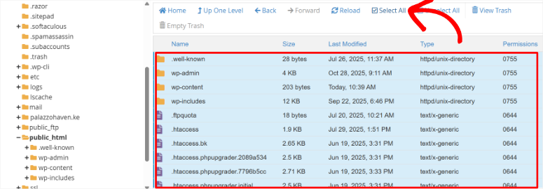 cpanel public html select all