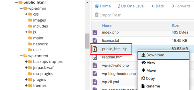 download public html zip