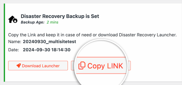 duplicator pro multisite recovery link