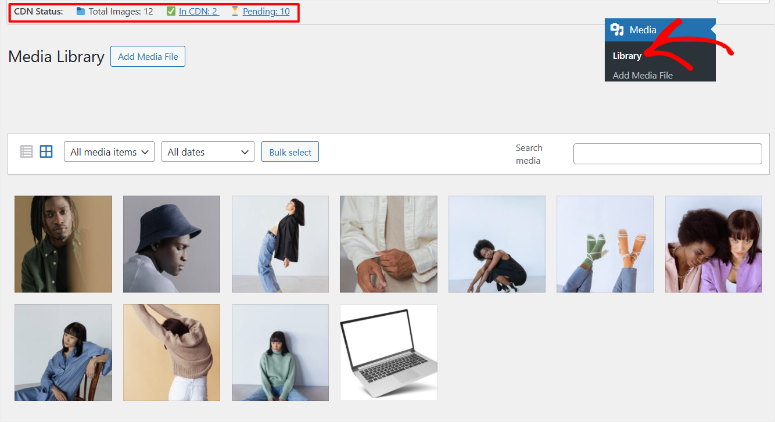 envira-gallery-cdn-cdn-status - IsItWP - Free WordPress Theme Detector envira gallery cdn cdn status
