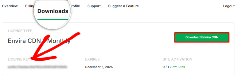 envira-gallery-cdn-download-plugin - IsItWP - Free WordPress Theme Detector envira gallery cdn download plugin