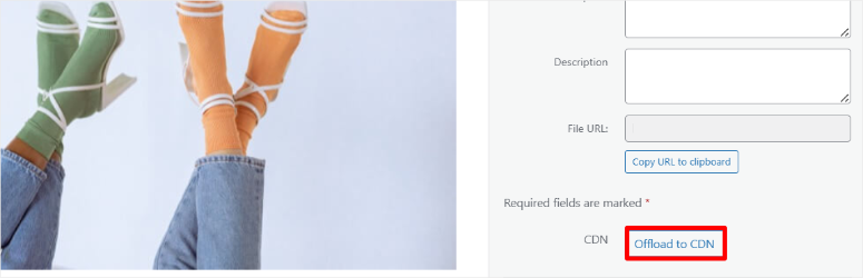 envira-gallery-cdn-manual-offload-image - IsItWP - Free WordPress Theme Detector envira gallery cdn manual offload image
