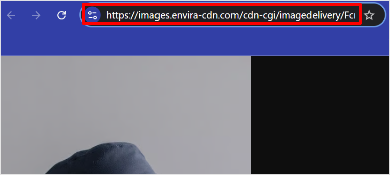 envira-gallery-cdn-offload-url - IsItWP - Free WordPress Theme Detector envira gallery cdn offload url
