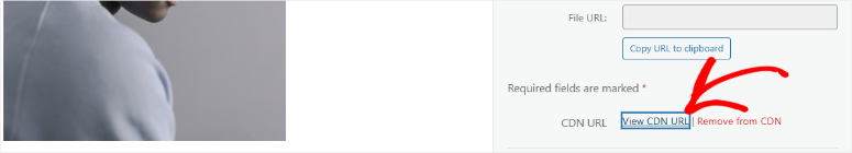 envira-gallery-cdn-view-offload-url - IsItWP - Free WordPress Theme Detector envira gallery cdn view offload url