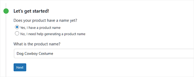 add product name in storeagent ai product description form