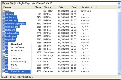 WordPress FTP File Attributes